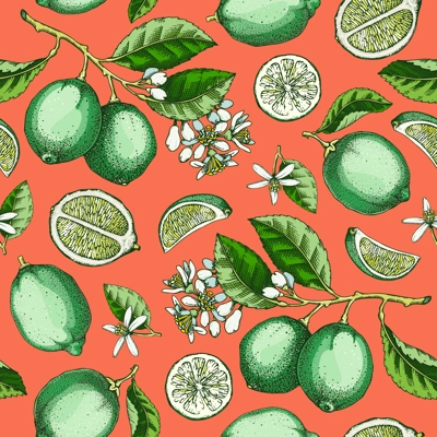 Lime fruit seamless pattern. Citrus fruit sketches. Mixed media botanical background. Exotic plants texture. Hand drawn vector illustration. NOT AI generated
